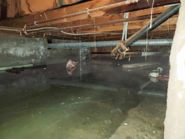 Best Water damage cleanup near me  in USA